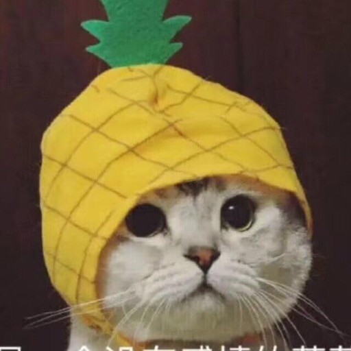 暗之星